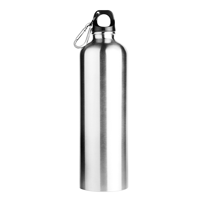 Stainless Steel Sports Water Bottle with Carabiner Lid